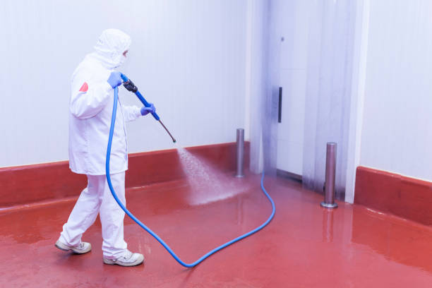 Reliable Bridgman, MI Pressure Washing Services Solutions