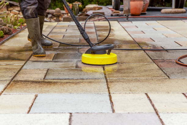 Best Rust Removal  in Bridgman, MI