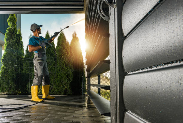 Best House Exterior Washing  in Bridgman, MI