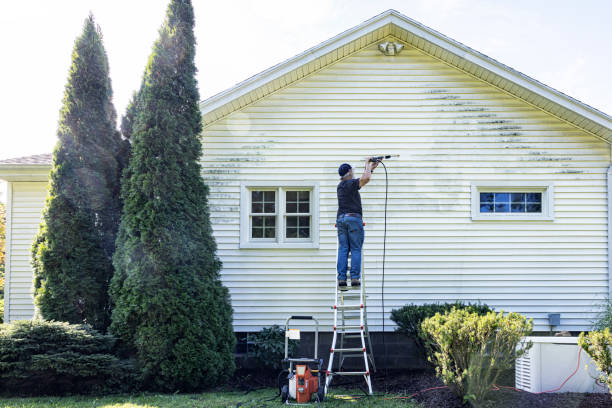Animal Enclosure Cleaning in Bridgman, MI